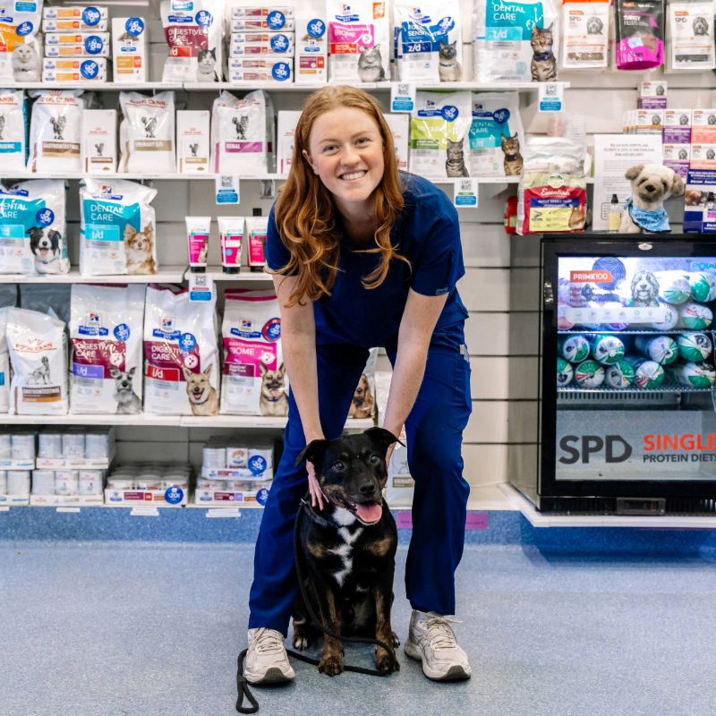 St Ives Vet products