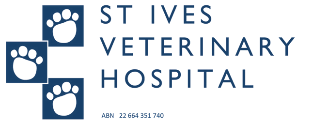 St Ives Vet
