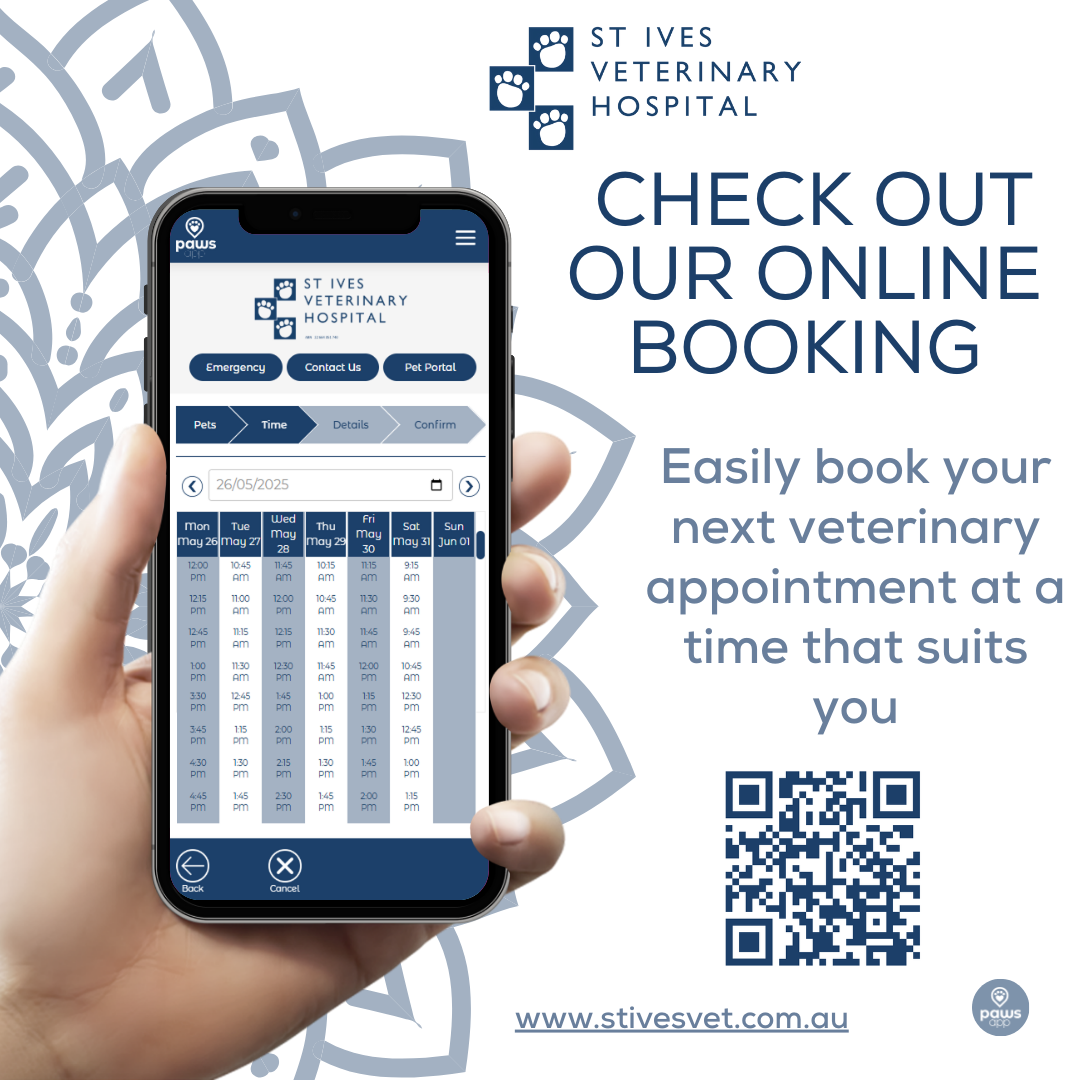 St Ives Vet online booking socials